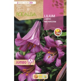 S.BOLBO SAQUETA LILIUM JUMBO PINK PERFECTION-EBLJ8665