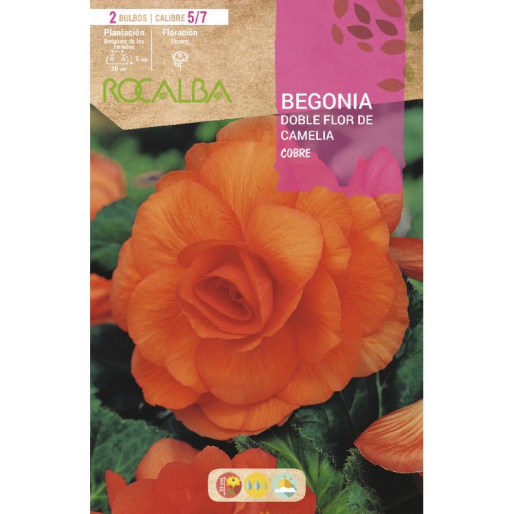 S.BOLBO SAQUETA RO.BEGONIA FC COBRE-EBBG8700