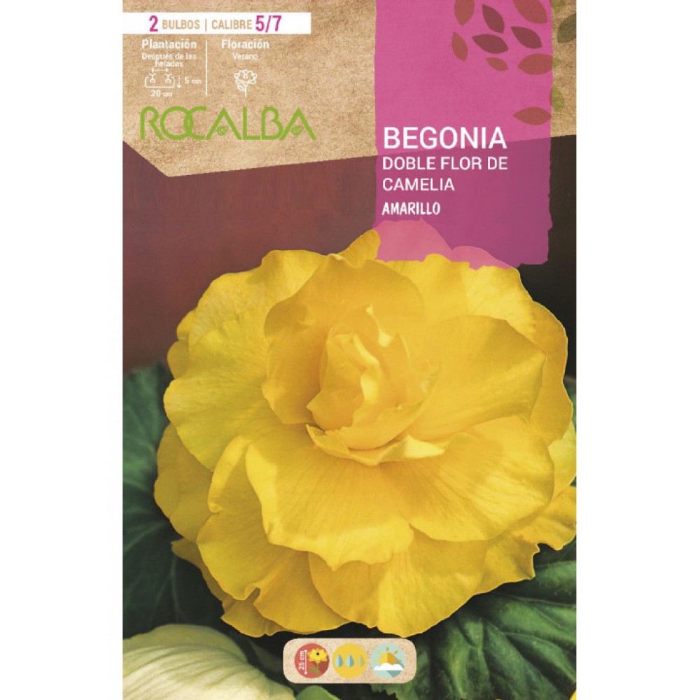 S.BOLBO SAQUETA RO.BEGONIA FC AMARILLO-EBBG8705