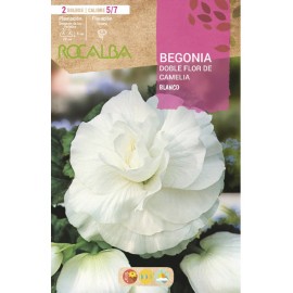S.BOLBO SAQUETA RO.BEGONIA FC BRANCO-EBBG8715
