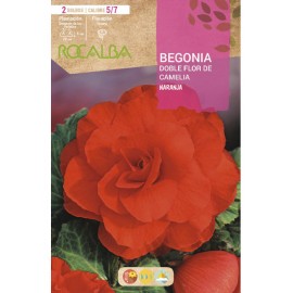 S.BOLBO SAQUETA BEGONIA LARANJA-EBBG8720