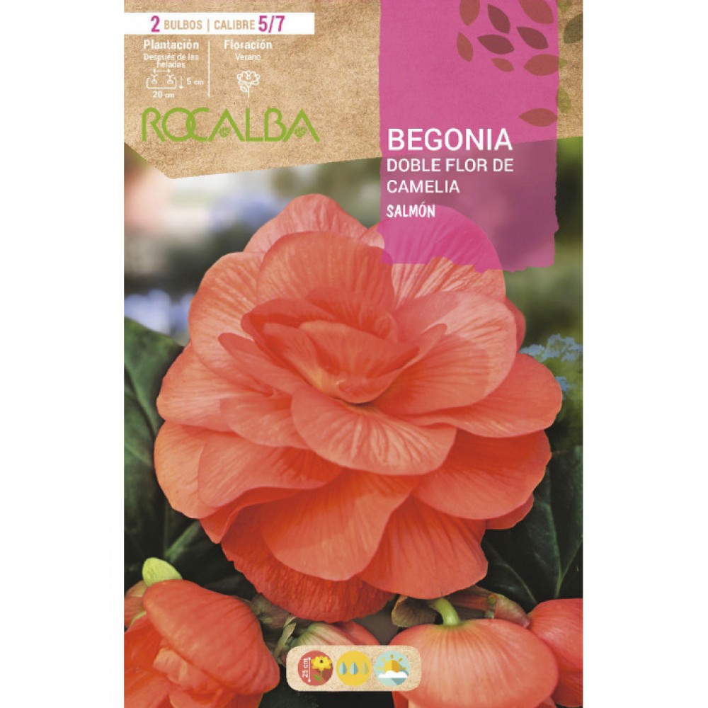 S.BOLBO SAQUETA RO.BEGONIA FC SALMON-EBBG8725