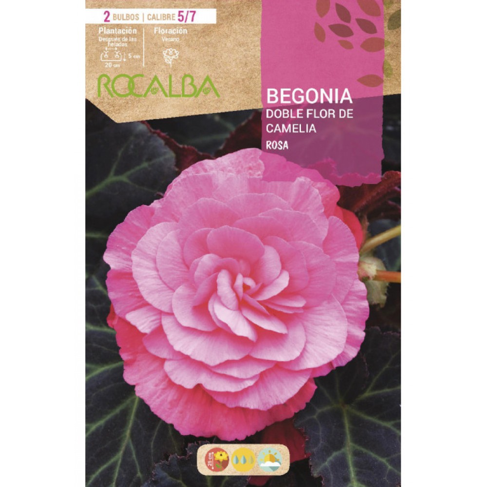 S.BOLBO SAQUETA RO.BEGONIA FC ROSA-EBBG8730