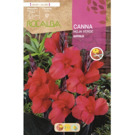 S.BOLBO SAQUETA CANAS DA INDIA LARANJA ( FOLHAS VERDES )-EBCV9025