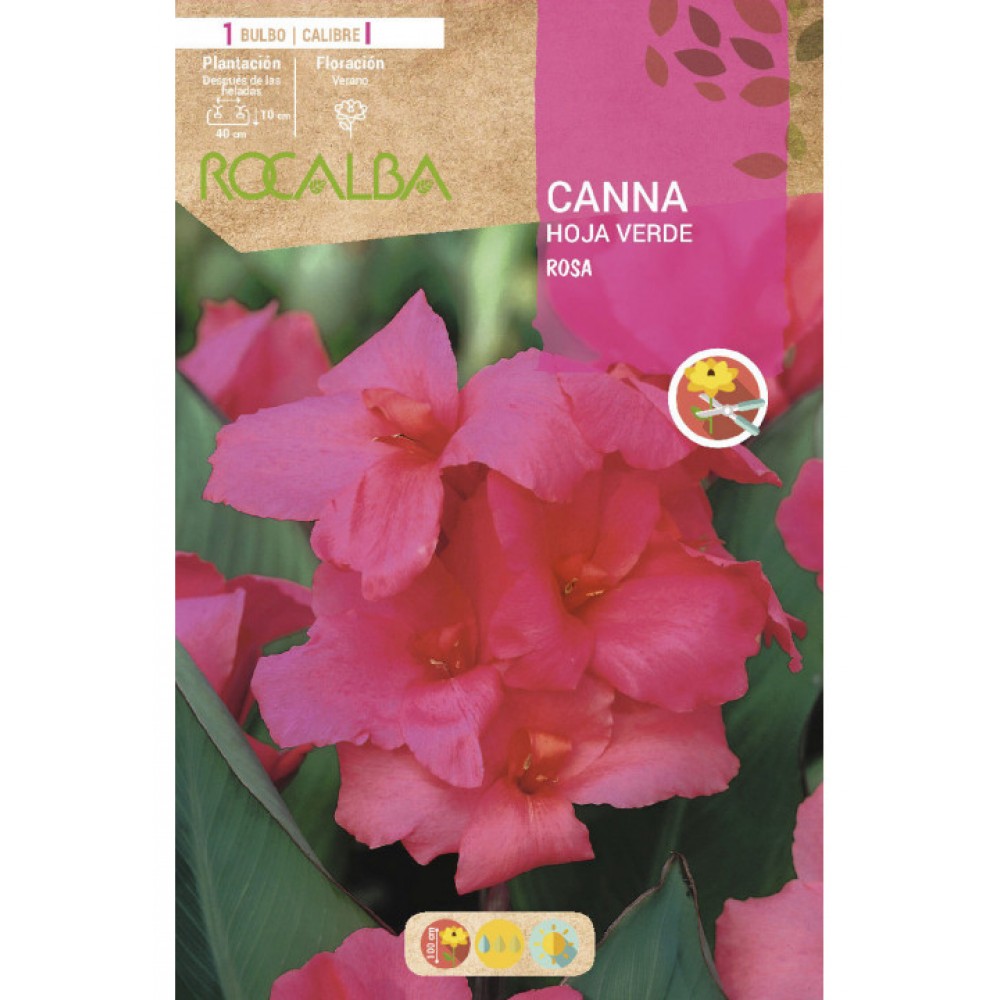 S.BOLBO SAQUETA CANAS DA INDIA ROSA ( FOLHAS VERDES )-EBCV9030