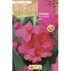 S.BOLBO SAQUETA CANAS DA INDIA ROSA ( FOLHAS VERDES )-EBCV9030