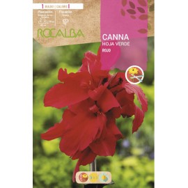 S.BOLBO SAQUETA CANAS DA INDIA VERMELHA ( FOLHAS VERDES )-EBCV9035