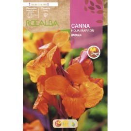 S.BOLBO SAQUETA CANAS DA INDIA LARANJA ( FOLHAS CASTANHAS )-EBCM9055