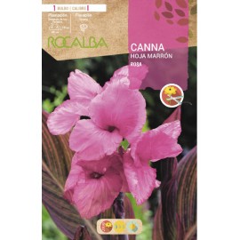 S.BOLBO SAQUETA CANAS DA INDIA ROSA ( FOLHAS CASTANHAS )-EBCM9060