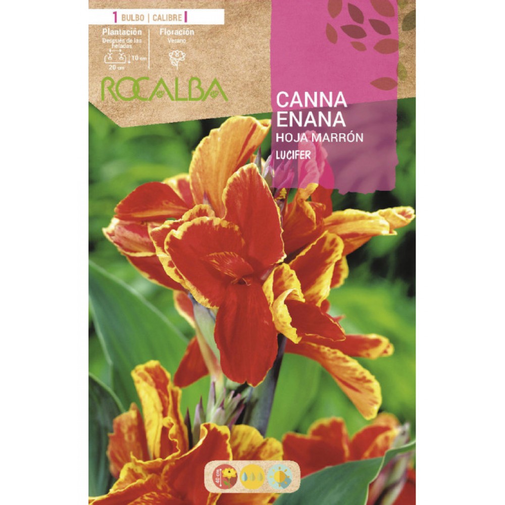 S.BOLBO SAQUETA CANAS DA INDIA ANAS VERMELHO INTENSO ( FOLHAS CASTANHAS )-EBCE9095