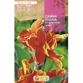 S.BOLBO SAQUETA CANAS DA INDIA ANAS VERMELHO INTENSO ( FOLHAS CASTANHAS )-EBCE9095