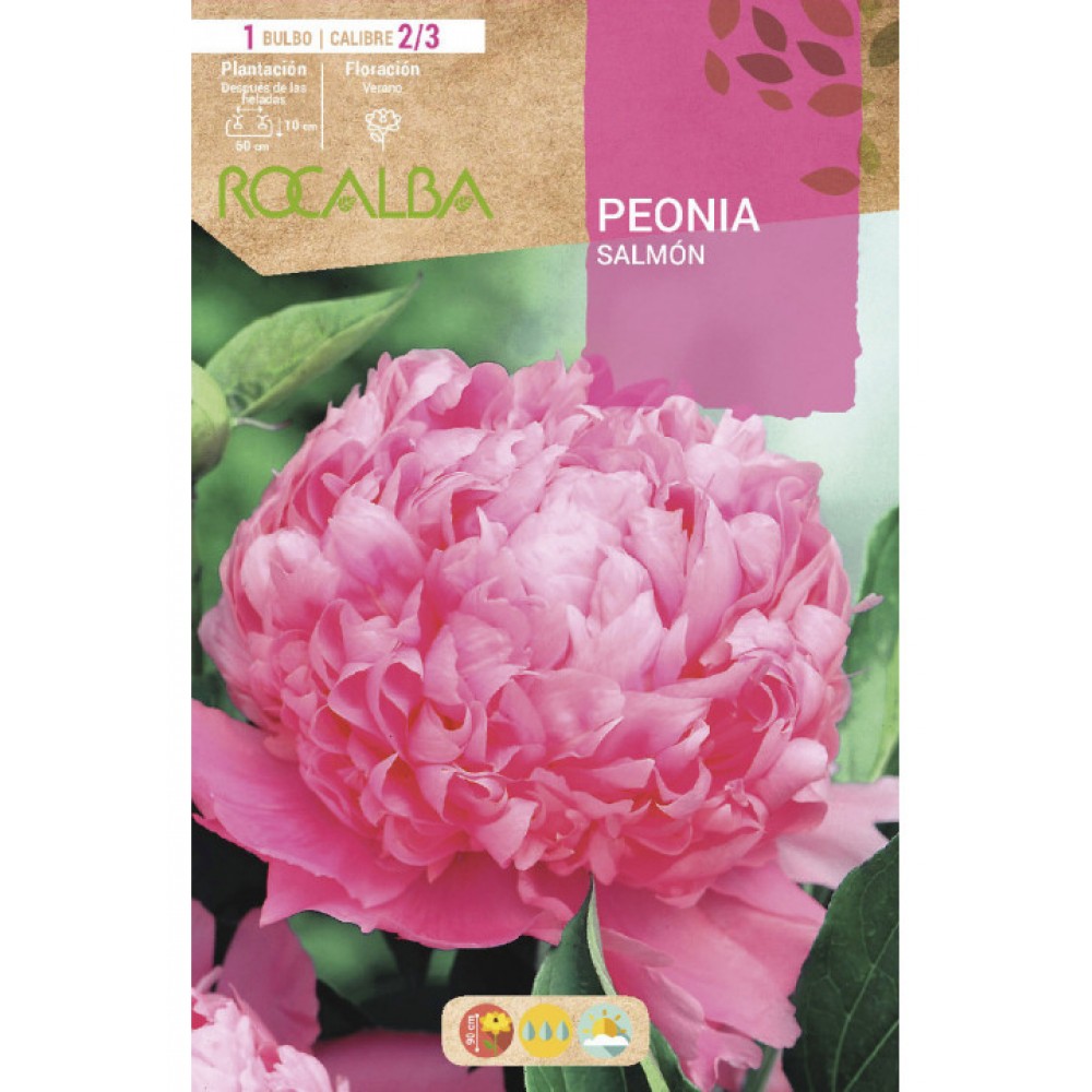 S.BOLBO SAQUETA PEONIA SALMAO -EBPN9120