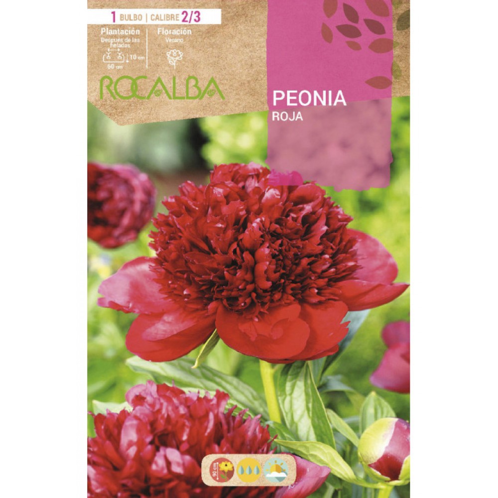 S.BOLBO SAQUETA PEONIA VERMELHO -EBPN9125