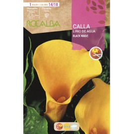 S.BOLBO SAQUETA JARROS BLACK MAGI-EBCA9180