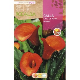S.BOLBO SAQUETA ROCALBA JARROS FIRELIGHT -EBCA9190