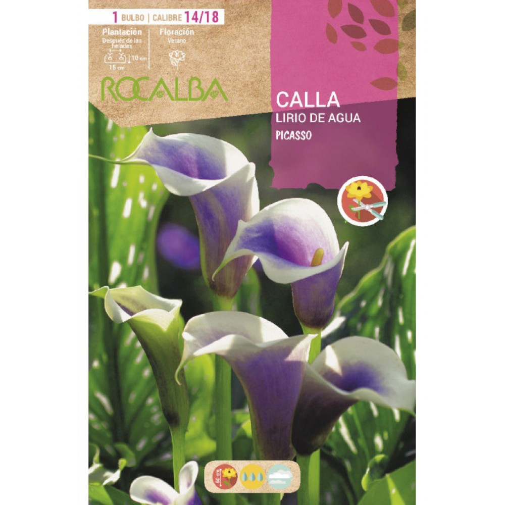 S.BOLBO SAQUETA JARROS PICASSO -EBCA9195