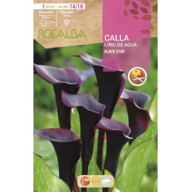 S.BOLBO SAQUETA JARROS BLACK STAR -EBCA9225