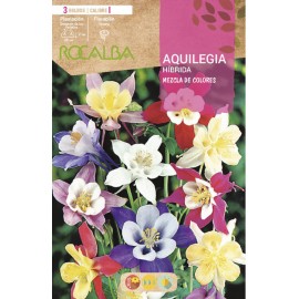 S.BOLBO SAQUETA ROCALBA AQUILEGIA HIBRIDA-EBVU9355