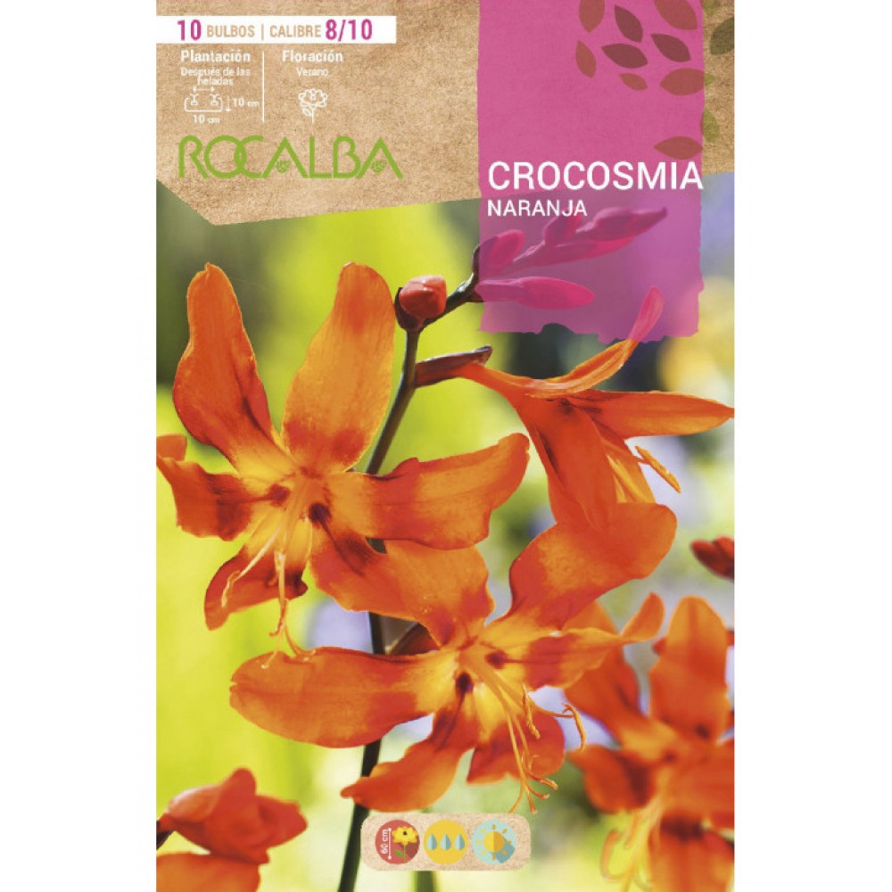 S.BOLBO SAQUETA CROCOSMIA LARANJA - EBVU9375