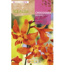S.BOLBO SAQUETA CROCOSMIA LARANJA - EBVU9375