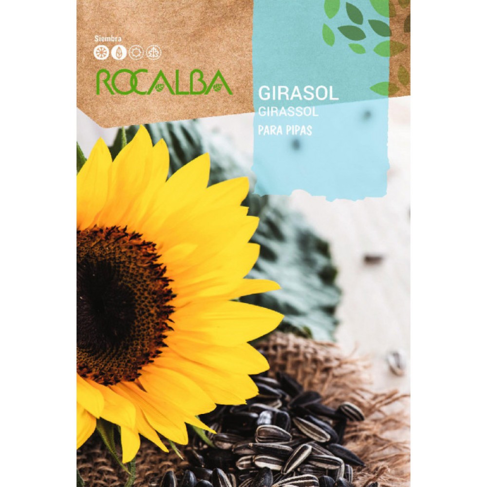 S.GIRASSOL ROCALBA PARA SEMENTE-CARTEIRA