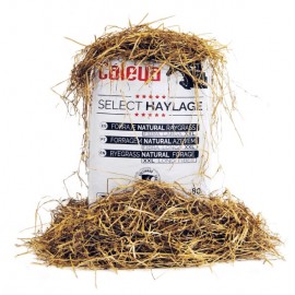FENO SELECT HAYLAGE FORRAGEM NATURAL AZEVEM - FARDO 80 L