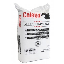 FENO SELECT HAYLAGE FORRAGEM NATURAL AZEVEM - FARDO 80 L