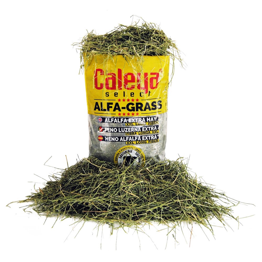 FENO SELECT HAY SECO ALFA-GRASS F-XXL (LUZERNA) - FARDO 80 LT
