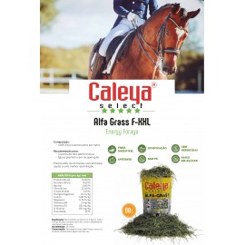 FENO SELECT HAY SECO ALFA-GRASS F-XXL (LUZERNA) - FARDO 80 LT