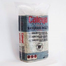 FENO SELECT HAY SECO RAYGRASS INGLÊS - FARDO 80 LT
