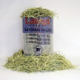 FENO SELECT HAY SECO RAYGRASS INGLÊS - FARDO 80 LT