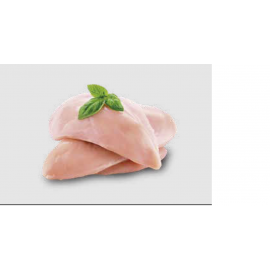 ARION ESSENTIAL ADULTO CHICKEN - 18KG