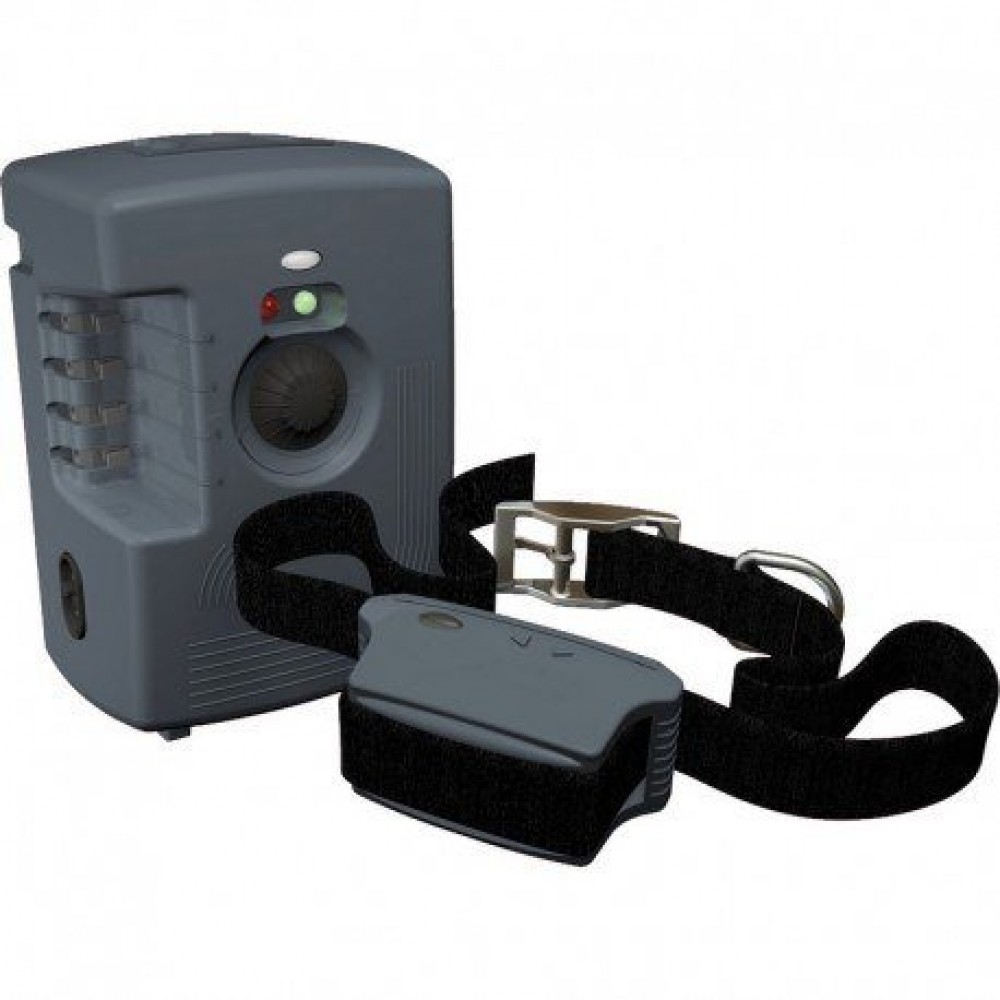 KIT COLEIRA ELECTRICA 230V EDUC CONTROL