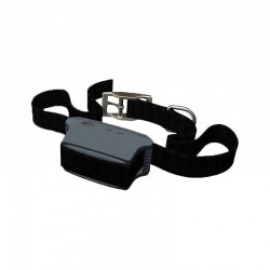 COLEIRA ELECTRICA 230V EDUC CONTROL