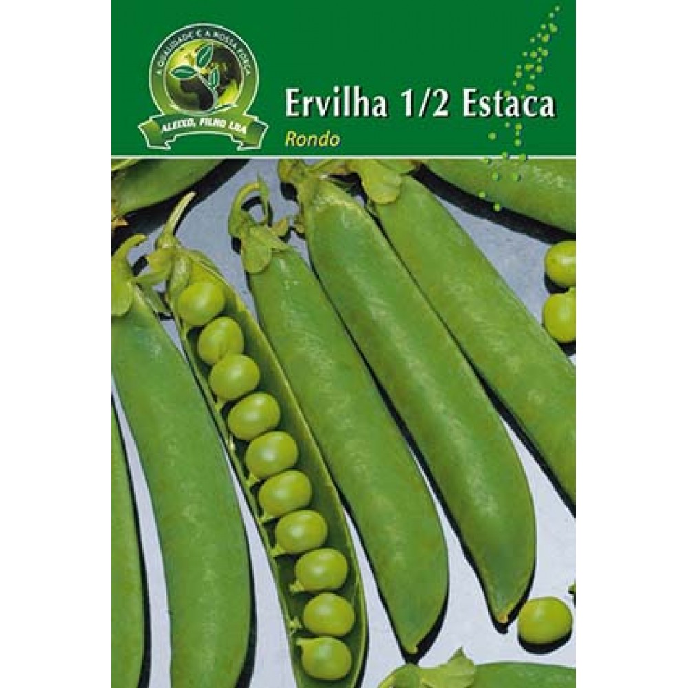 S.ERVILHA GRAO 1/2 RONDO ALEIXO- CARTEIRA