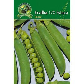 S.ERVILHA GRAO 1/2 RONDO ALEIXO- CARTEIRA