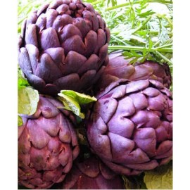 S.ALCACHOFRA VIOLETA - 1 KILO