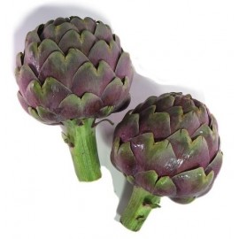 S.ALCACHOFRA VIOLETA - 1 KILO