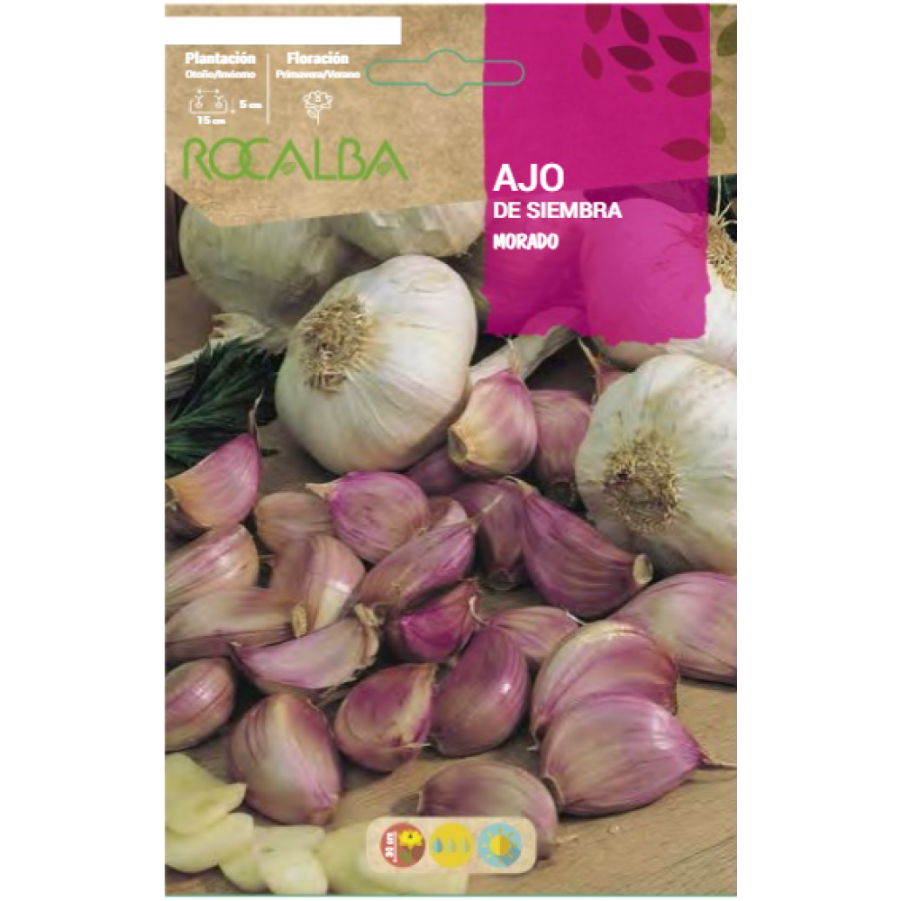 S.ALHOS DE SEMENTE ROCALBA   - SACO 500GR