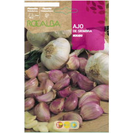 S.ALHOS DE SEMENTE ROCALBA   - SACO 500GR