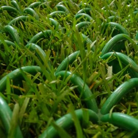 BOSK ARCOGRASS 5M2