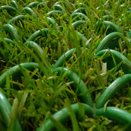 BOSK ARCOGRASS 10M2