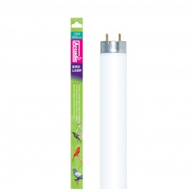 ARCADIA LAMPADA FLOURECESCENTE DE AVES 18WT