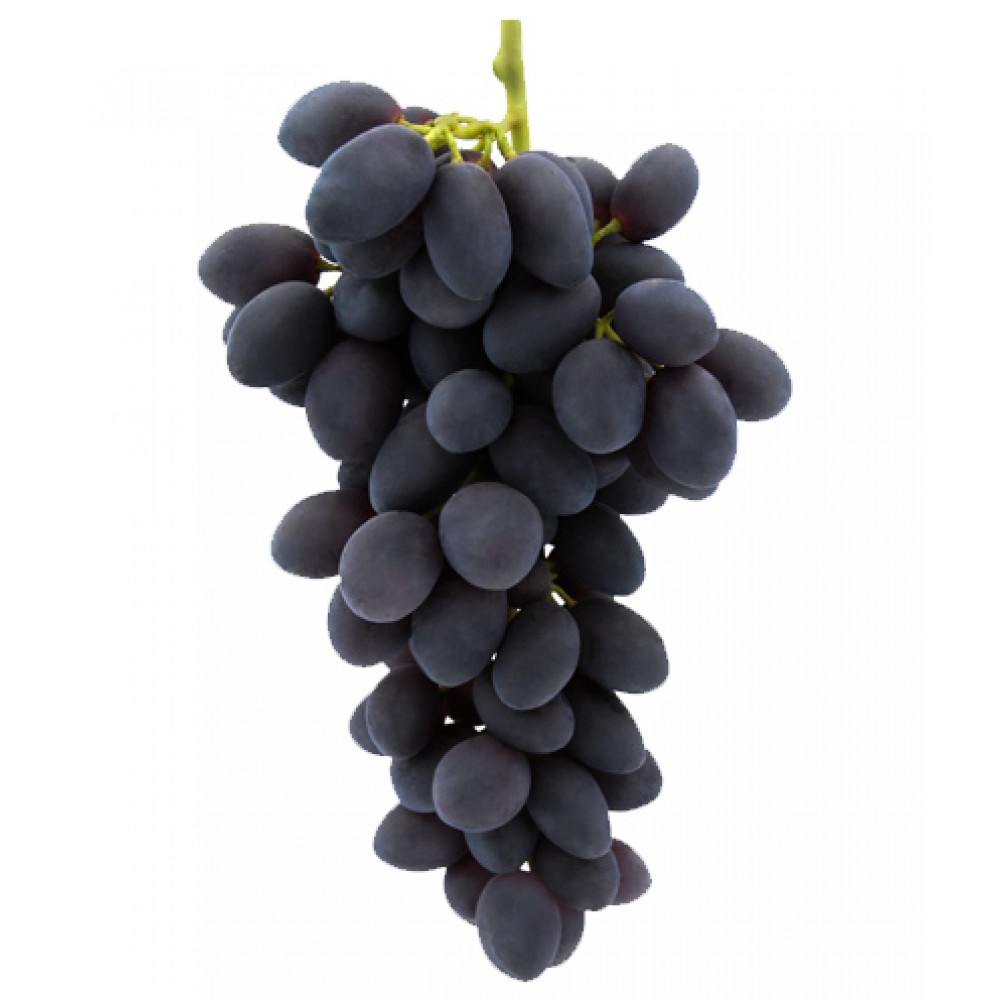 ARVORE FRUTO -VIDEIRA UVA DE MESA TINTA AUTUMN ROYAL S/ GRAINHA
