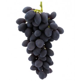 ARVORE FRUTO -VIDEIRA UVA DE MESA TINTA AUTUMN ROYAL S/ GRAINHA