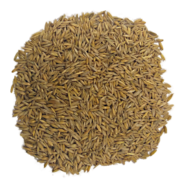 ZEZERE AVEIAO         - SACO 20KG