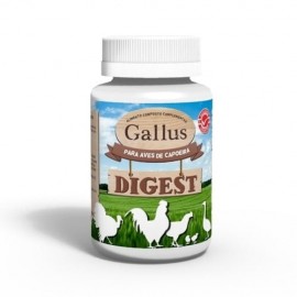 GALLUS DIGEST INTESTINAL - 200 ML