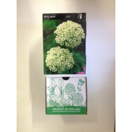 S.BOLBO DC ALLIUM NIGRUM MULTIBULBOSUM - CX 60 UNIDADE