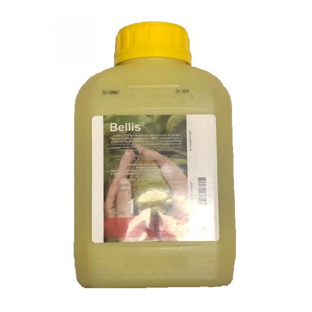BASF BELLIS AV 0195 - 1 KG