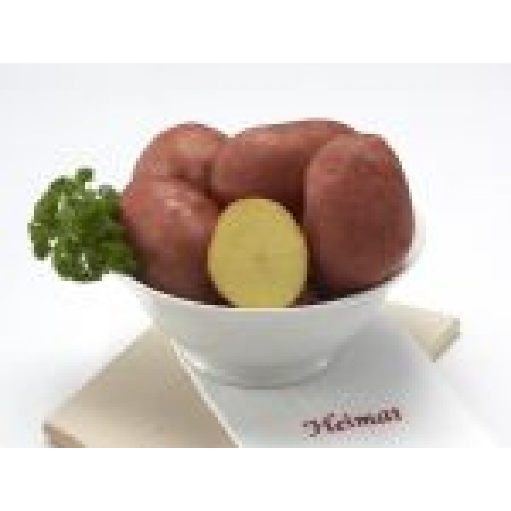 S.BATATA EUROPLANT BELLAROSA 35/60- 25KG